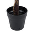 GloboStar® Artificial Garden BUXUS 20405 Τεχνητό Διακοσμητικό Φυτό Πυξός Υ60cm - ledmania.gr