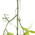 GloboStar® Artificial Garden SALIX MATSUDANA HANGING BRANCH 20411 Τεχνητό Διακοσμητικό Κρεμαστό Φυτό Ιτέα Υ80cm - ledmania.gr