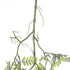 GloboStar® Artificial Garden FERN HANGING BRANCH 20413 Τεχνητό Διακοσμητικό Κρεμαστό Φυτό Φτέρη Υ89cm - ledmania.gr