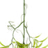 GloboStar® Artificial Garden SALIX MATSUDANA HANGING BRANCH 20414 Τεχνητό Διακοσμητικό Κρεμαστό Φυτό Ιτέα Υ80cm - ledmania.gr