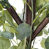 GloboStar® Artificial Garden EYCALYPTUS CINEREA ARCH 20434 Τεχνητή Διακοσμητική Αψίδα Ευκάλυπτου Μ250cm x Υ250cm - ledmania.gr