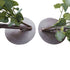 GloboStar® Artificial Garden EYCALYPTUS CINEREA ARCH 20434 Τεχνητή Διακοσμητική Αψίδα Ευκάλυπτου Μ250cm x Υ250cm - ledmania.gr
