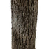 GloboStar® Artificial Garden ACER RUBRUM SYCAMORE TREE 20437 Τεχνητό Διακοσμητικό Δέντρο Κόκκινος Σφένδαμος Υ400cm - ledmania.gr