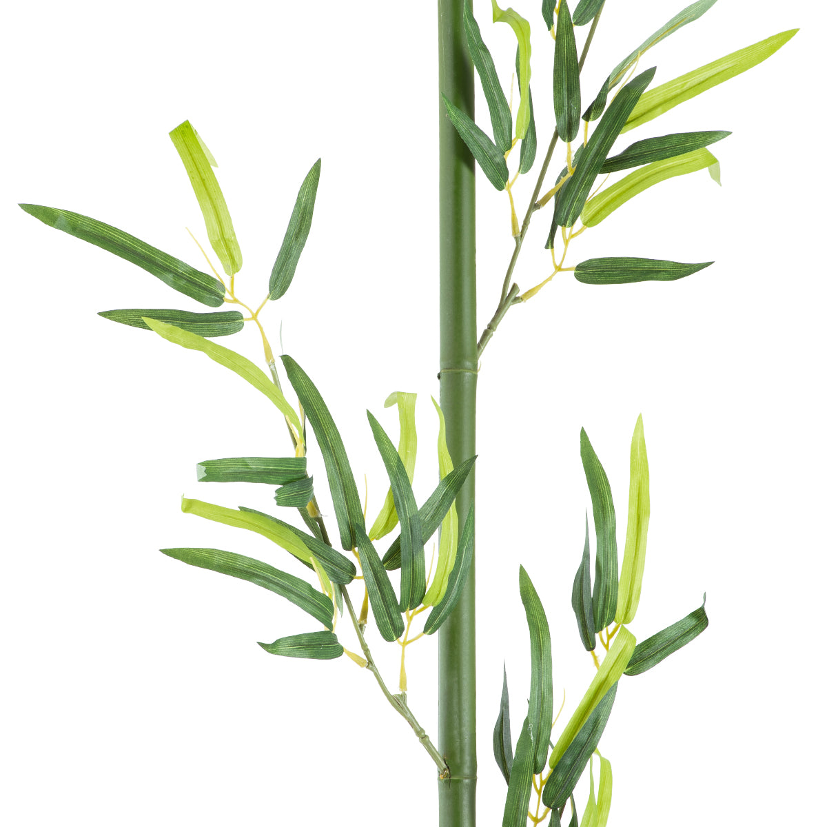 GloboStar® Artificial Garden BAMBOO BRANCH 20439 Τεχνητό Διακοσμητικό Κλαδί Μπαμπού Υ200cm - ledmania.gr