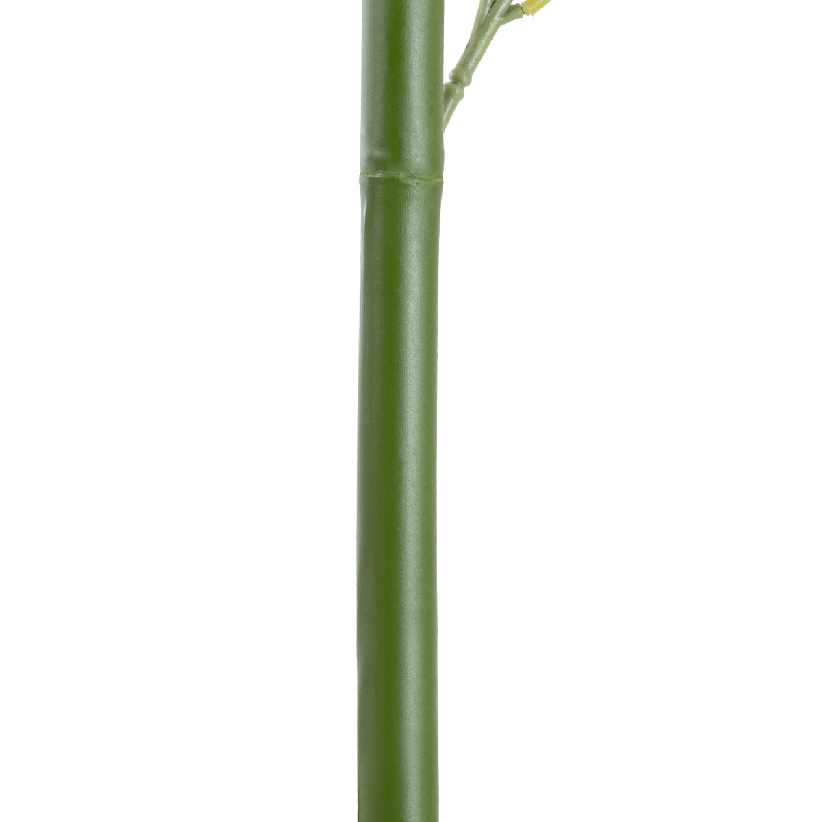 GloboStar® Artificial Garden BAMBOO BRANCH 20441 Τεχνητό Διακοσμητικό Κλαδί Μπαμπού Υ300cm - ledmania.gr