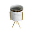 GloboStar® Artificial Garden ALASKA 20565 Διακοσμητικό Κεραμικό Κασπώ Γλάστρα - Flower Pot Λευκό με Χρυσή Μεταλλική Βάση και Μαύρες Λεπτομέρειες Φ8 x Υ15cm - ledmania.gr