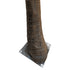 GloboStar® Artificial Garden COCONUT PALM TREE 20595 Τεχνητό Διακοσμητικό Φοινικόδεντρο Κοκοφοίνικας Υ600cm - ledmania.gr