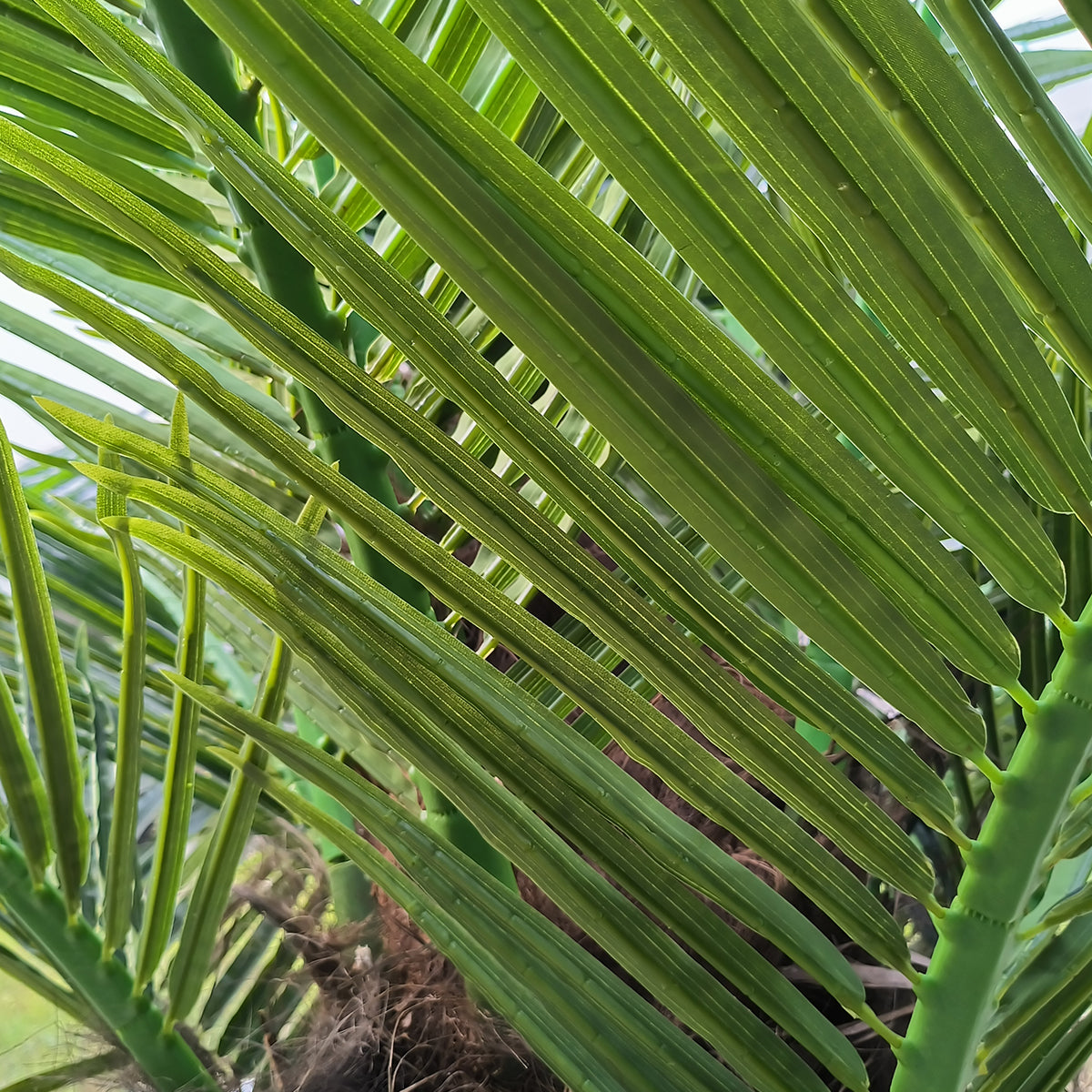 GloboStar® Artificial Garden PHOENIX ROEBELENII PALM TREE 20596 Τεχνητό Διακοσμητικό Φυτό Φοινικόδεντρο Ρομπελίνι Εξωτερικού Χώρου IP68 UV Certified Protection Υ500cm - ledmania.gr