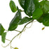 GloboStar® Artificial Garden HANGING PEPEROMIA 20599 Τεχνητό Διακοσμητικό Κρεμαστό Φυτό Πεπερόμια Μ30 x Π31 x Υ50cm - ledmania.gr