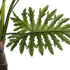 GloboStar® Artificial Garden TARO 20687 Τεχνητό Διακοσμητικό Φυτό Κολοκασία Φ150 x Υ180cm - ledmania.gr