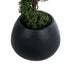GloboStar® Artificial Garden COLOMBO 20695 Διακοσμητικό Πολυεστερικό Τσιμεντένιο Κασπώ Γλάστρα - Flower Pot Μαύρο Φ60 x Υ45cm - ledmania.gr