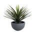 GloboStar® Artificial Garden BALTIMORE 20696 Διακοσμητικό Πολυεστερικό Τσιμεντένιο Κασπώ Γλάστρα - Flower Pot Γκρι Φ43 x Υ23cm - ledmania.gr