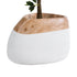 GloboStar® Artificial Garden PANDORA 20705 Επιδαπέδιο Πολυεστερικό Τσιμεντένιο Κασπώ Γλάστρα - Flower Pot Καφέ με Λευκό Μ60 x Π55 x Υ43cm - ledmania.gr
