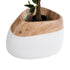 GloboStar® Artificial Garden PANDORA 20705 Επιδαπέδιο Πολυεστερικό Τσιμεντένιο Κασπώ Γλάστρα - Flower Pot Καφέ με Λευκό Μ60 x Π55 x Υ43cm - ledmania.gr