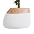 GloboStar® Artificial Garden PANDORA 20705 Επιδαπέδιο Πολυεστερικό Τσιμεντένιο Κασπώ Γλάστρα - Flower Pot Καφέ με Λευκό Μ60 x Π55 x Υ43cm - ledmania.gr