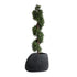 GloboStar® Artificial Garden CHLOE 20708 Επιδαπέδιο Πολυεστερικό Τσιμεντένιο Κασπώ Γλάστρα - Flower Pot Μαύρο Μ60 x Π55 x Υ43cm - ledmania.gr