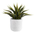 GloboStar® Artificial Garden MALVEN 20711 Επιδαπέδιο Πολυεστερικό Τσιμεντένιο Κασπώ Γλάστρα - Flower Pot Λευκό Φ25 x Υ23cm - ledmania.gr
