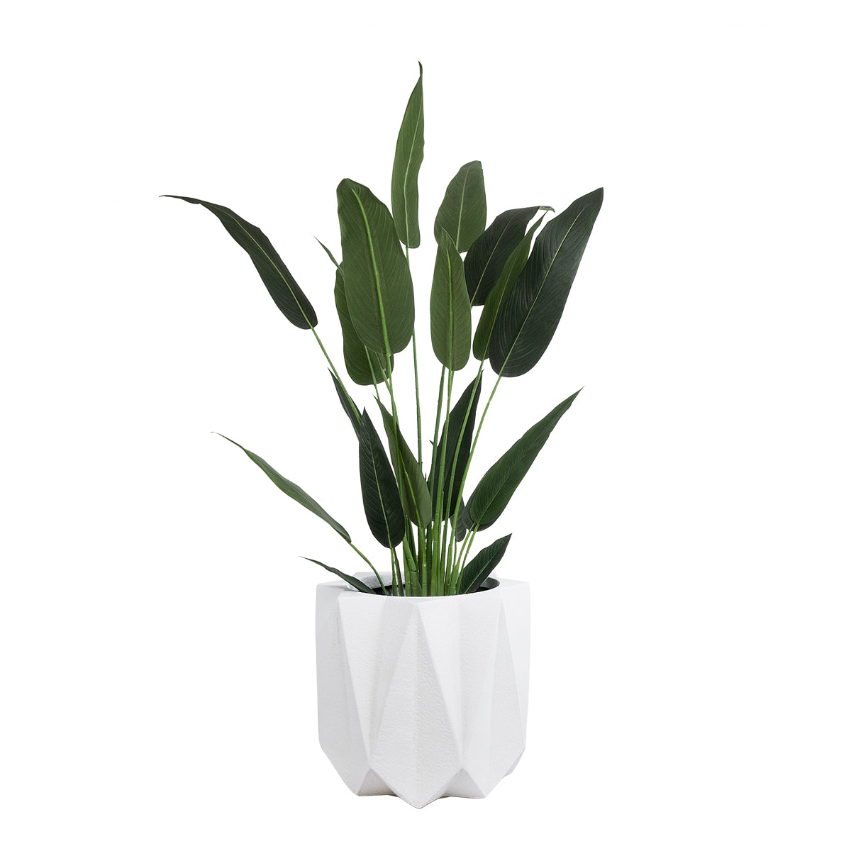 GloboStar® Artificial Garden PADOVA 20741 Επιδαπέδιο Πολυεστερικό Τσιμεντένιο Κασπώ Γλάστρα - Flower Pot Λευκό Φ51 x Υ46cm - ledmania.gr
