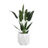 GloboStar® Artificial Garden PADOVA 20741 Επιδαπέδιο Πολυεστερικό Τσιμεντένιο Κασπώ Γλάστρα - Flower Pot Λευκό Φ51 x Υ46cm - ledmania.gr