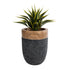 GloboStar® Artificial Garden BELLAGIO 20744 Επιδαπέδιο Πολυεστερικό Τσιμεντένιο Κασπώ Γλάστρα - Flower Pot Μαύρο με Καφέ Φ39 x Υ52cm - ledmania.gr