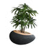 GloboStar® Artificial Garden RAVELLO 20746 Επιδαπέδιο Πολυεστερικό Τσιμεντένιο Κασπώ Γλάστρα - Flower Pot Μαύρο με Καφέ Μ82 x Π62 x Υ45cm - ledmania.gr