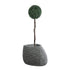 GloboStar® Artificial Garden RONDA 20759 Επιδαπέδιο Πολυεστερικό Τσιμεντένιο Κασπώ Γλάστρα - Flower Pot Γκρι Μ63 x Π41 x Υ47cm - ledmania.gr