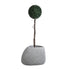 GloboStar® Artificial Garden OXFORD 20794 Επιδαπέδιο Πολυεστερικό Τσιμεντένιο Κασπώ Γλάστρα - Flower Pot Γκρι Μ60 x Π55 x Υ43cm - ledmania.gr