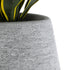 GloboStar® Artificial Garden OXFORD 20795 Επιδαπέδιο Πολυεστερικό Τσιμεντένιο Κασπώ Γλάστρα - Flower Pot Γκρι Μ45 x Π49 x Υ90cm - ledmania.gr