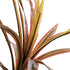 GloboStar® Artificial Garden DRAGON BLOOD TREE 20969 Τεχνητό Διακοσμητικό Φυτό Δράκαινα Φ100 x Υ140cm - ledmania.gr