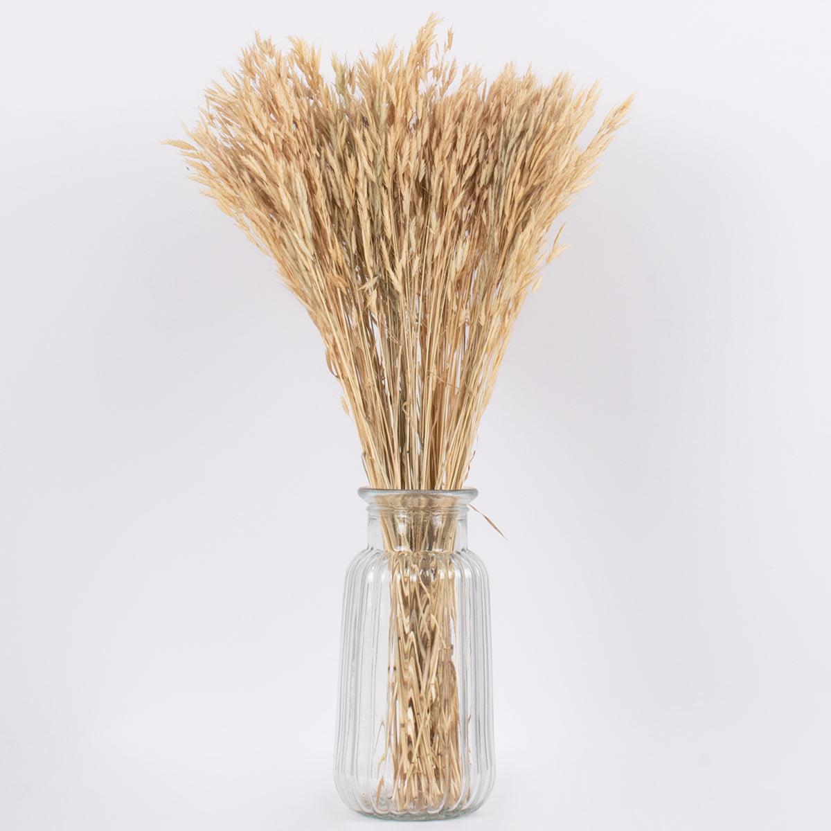GloboStar® WHEAT 36550 Αποξηραμένο Φυτό Σίτος - Μπουκέτο Διακοσμητικών Κλαδιών Μπεζ Υ60cm - ledmania.gr