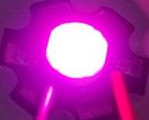 3W LED Υψηλής Ισχύος LED Chip Bridgelux- Full spectrum 400-840nm-20mm PCB Board-3.2-3.6vdc-Φουξια-1 τεμ - ledmania.gr