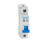 ΜΙΚΡΟΑΥΤΟΜΑΤΗ ΑΣΦΑΛΕΙΑ C101L/40A 1P ΚΑΜΠΥΛΗ C SIGMA - ledmania.gr