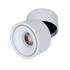 TLS504 COB ΣΠΟΤ ΡΑΓΑΣ 15W  2700K 24° ΛΕΥΚΟ - ledmania.gr
