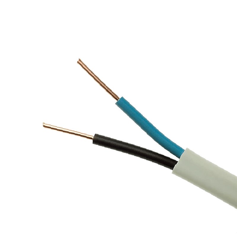ΠΟΛΥΚΛΩΝΟ ΚΑΛΩΔΙΟ NYM 2x2.5mm2 - ledmania.gr