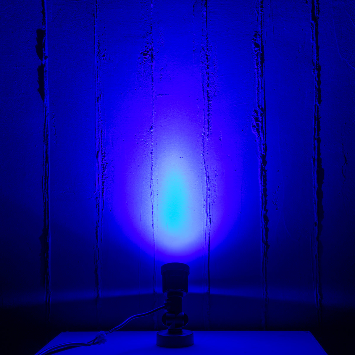 GloboStar® GARDENINI 61548 Επιφανειακό Φωτιστικό Σποτ Κήπου LED 5W 550lm 38° DC 24V IP68 Υψηλής Αντοχής ABS IK06 Φ7 x Υ14.5cm - Μπλε 450nm Dimmable - Μαύρο - Bridgelux Chip - 3 Years Warranty - ledmania.gr