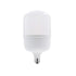 LED P140 E27 230V 48W 6000K 220° 4650Lm Ra80 IP65 - ledmania.gr