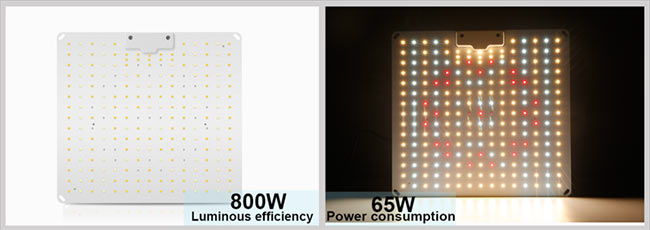 Full Spectrum Dimmable 800watt-64000Lm-PPFD 908 umol-Led Panel για Ανάπτυξη Φυτων-230volt - ledmania.gr