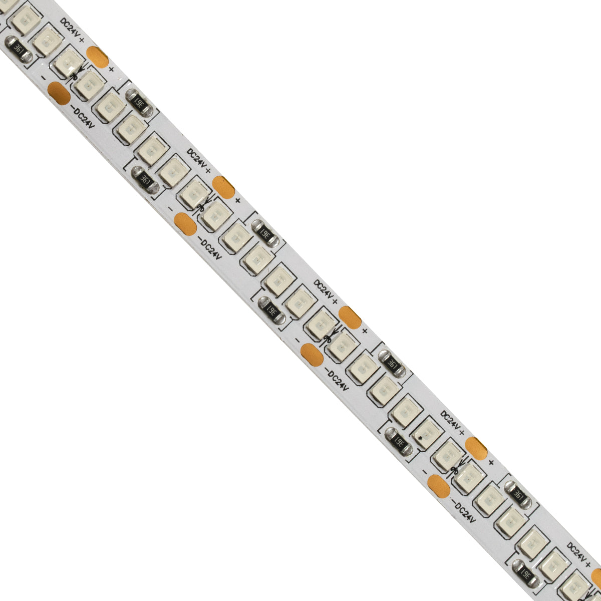 GloboStar® 70246 Ταινία LED SMD 2835 5m 16W/m 240LED/m 1920lm/m 120° DC 24V IP20 Μπλε - 5 Χρόνια Εγγύηση - ledmania.gr