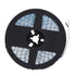 GloboStar® 70264 Ταινία LED SMD 5050 RGBW + WW 5in1 5m 36W/m 72LED/m 120° DC 24V IP20 3600lm/m Πολύχρωμη RGB - Ψυχρό Λευκό 6000K - Φυσικό Λευκό 4500K - Θερμό Λευκό 2700K - ledmania.gr