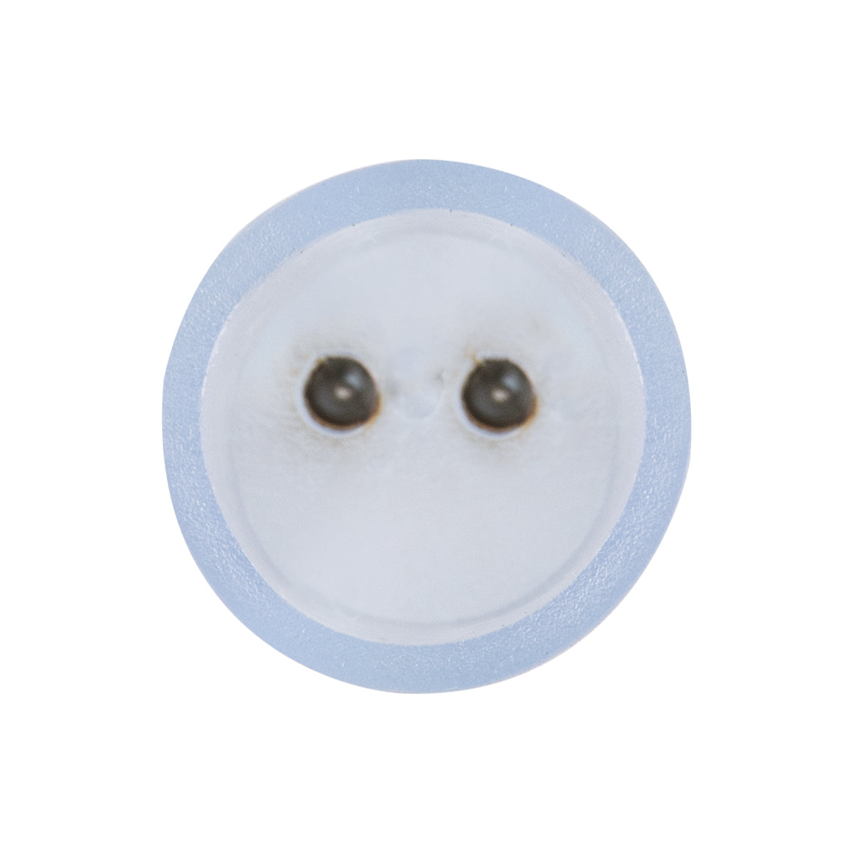 GloboStar® 70658 Σύνδεσμος I με Καρφάκια για Μονόχρωμο Φωτοσωλήνα LED 360° Degree 2 Pin - ledmania.gr