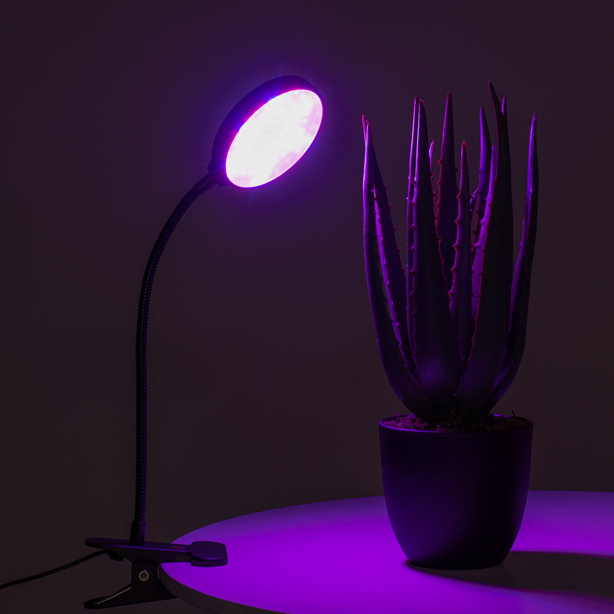 GloboStar® 79648 Grow Light Full Spectrum LED Φωτιστικό Ανάπτυξης Φυτών Γλάστρας με 1 Κινούμενη Κεφαλή & Βάση Clip SMD 2835 5W 160° DC 5V IP20 με Dimmer & Timer Εσωτερικού Χώρου για Κάλυψη Επιφάνειας 0.6m x 0.6m Πλήρους Φάσματος Φωτισμού - ledmania.gr