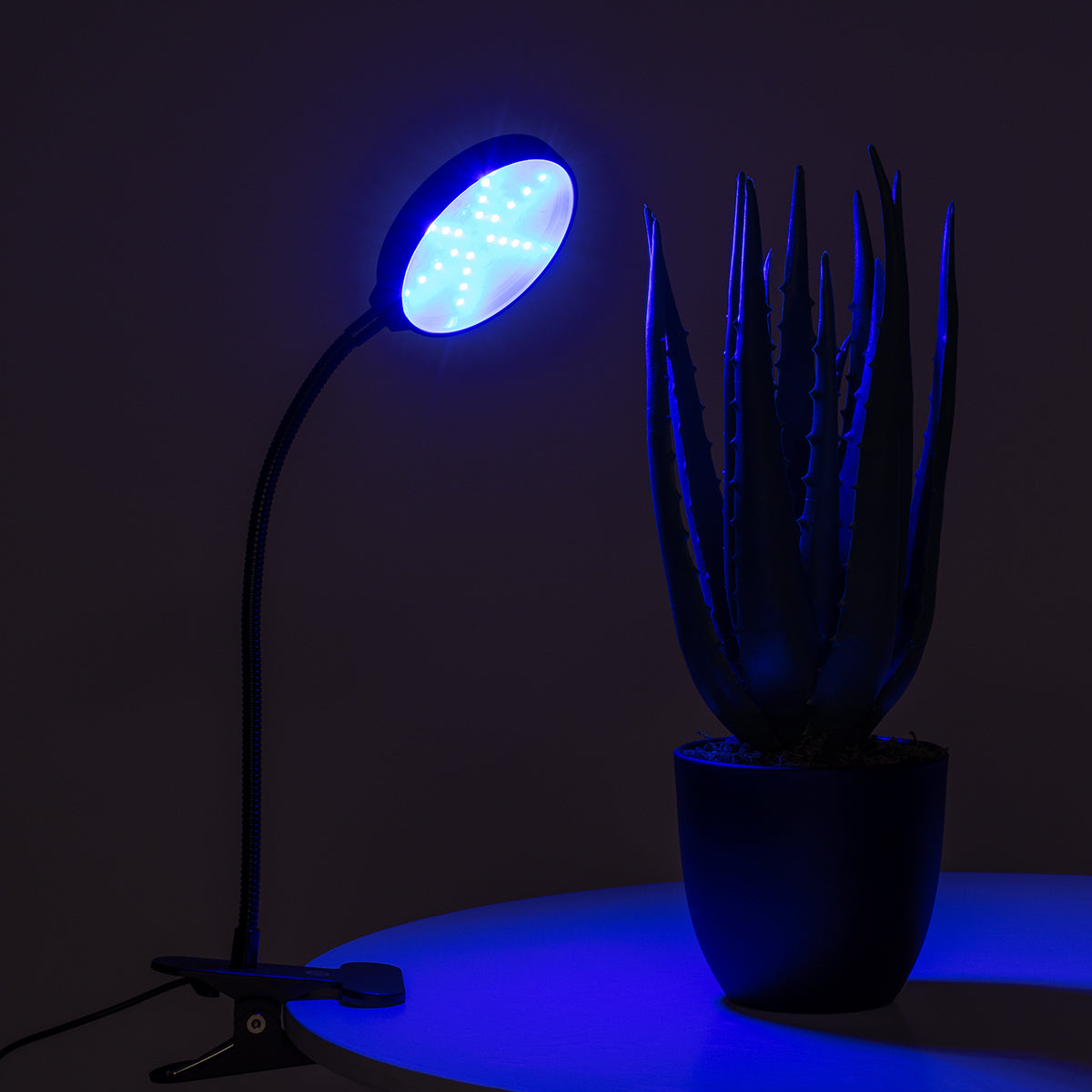 GloboStar® 79648 Grow Light Full Spectrum LED Φωτιστικό Ανάπτυξης Φυτών Γλάστρας με 1 Κινούμενη Κεφαλή & Βάση Clip SMD 2835 5W 160° DC 5V IP20 με Dimmer & Timer Εσωτερικού Χώρου για Κάλυψη Επιφάνειας 0.6m x 0.6m Πλήρους Φάσματος Φωτισμού - ledmania.gr