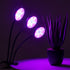 GloboStar® 79652 Grow Light Full Spectrum LED Φωτιστικό Ανάπτυξης Φυτών Γλάστρας με 3 Κινούμενες Κεφαλές & Βάση Clip SMD 2835 15W 160° DC 5V IP20 με Dimmer & Timer Εσωτερικού Χώρου για Κάλυψη Επιφάνειας 1m x 1m Πλήρους Φάσματος Φωτισμού - ledmania.gr