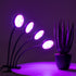 GloboStar® 79654 Grow Light Full Spectrum LED Φωτιστικό Ανάπτυξης Φυτών Γλάστρας με 4 Κινούμενες Κεφαλές & Βάση Clip SMD 2835 20W 160° DC 5V IP20 με Dimmer & Timer Εσωτερικού Χώρου για Κάλυψη Επιφάνειας 1m x 1m Πλήρους Φάσματος Φωτισμού - ledmania.gr