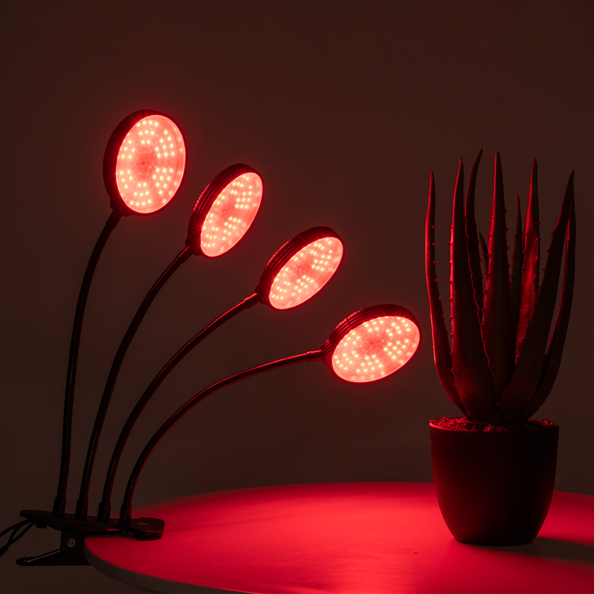 GloboStar® 79654 Grow Light Full Spectrum LED Φωτιστικό Ανάπτυξης Φυτών Γλάστρας με 4 Κινούμενες Κεφαλές & Βάση Clip SMD 2835 20W 160° DC 5V IP20 με Dimmer & Timer Εσωτερικού Χώρου για Κάλυψη Επιφάνειας 1m x 1m Πλήρους Φάσματος Φωτισμού - ledmania.gr