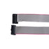 GloboStar® DATULCO 90241 Καλωδιοταινία 1m Data Cable HUB75 Μεταφοράς Σήματος/Εικόνας για Ψηφιακές Οθόνες LED Video Wall Μ100 x Π2.5 x Υ1.5cm - 2 Years Warranty - ledmania.gr