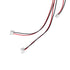 GloboStar® 90245 Καλώδιο Τροφοδοσίας για LED Modules Input x 1 Output x3 Μήκος 150cm - ledmania.gr