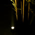 GloboStar® TREELIGHT-TREEGAL 90462 Σποτ Φωτισμού Ειδικό για Φυτά - Δέντρα με Βάση Μπετού & Κορμού LED 3W 345lm 15° DC 24V Αδιάβροχο IP67 Φ5 x Υ14.7cm Φυσικό Λευκό 4500K - Γκρι Ανθρακί - 3 Years Warranty - ledmania.gr