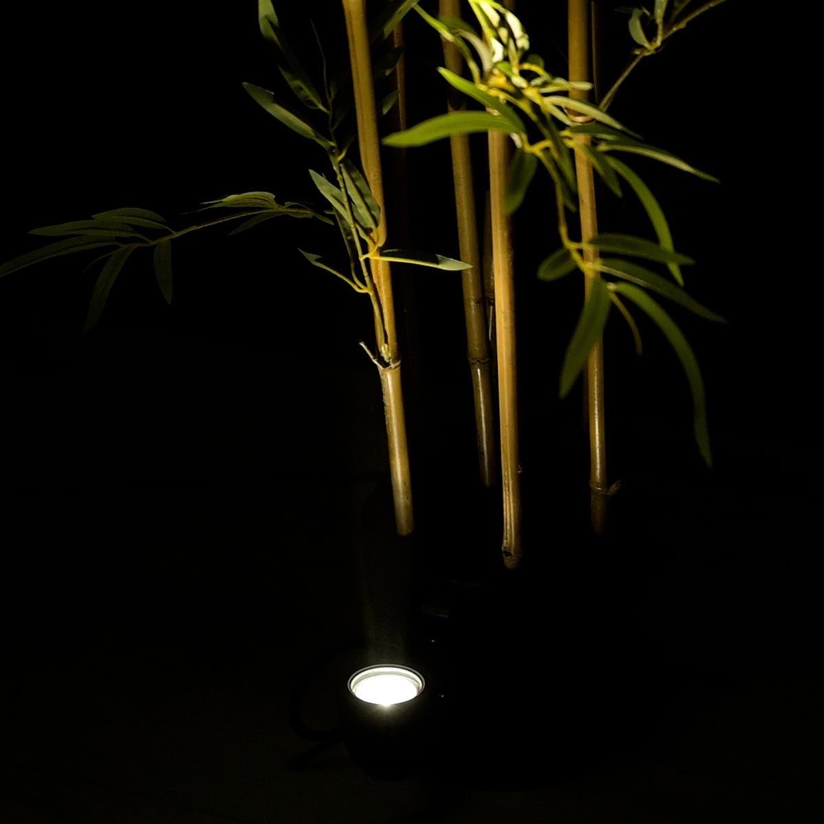 GloboStar® TREELIGHT-TREEDITA 90475 Σποτ Φωτισμού Ειδικό για Φυτά - Δέντρα LED 3W 345lm 8° DC 24V Αδιάβροχο IP67 Μ5.7 x Π6.5 x Υ9.8cm Φυσικό Λευκό 4500K - Γκρι Ανθρακί - 3 Years Warranty - ledmania.gr