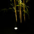 GloboStar® TREELIGHT-TREEDITA 90475 Σποτ Φωτισμού Ειδικό για Φυτά - Δέντρα LED 3W 345lm 8° DC 24V Αδιάβροχο IP67 Μ5.7 x Π6.5 x Υ9.8cm Φυσικό Λευκό 4500K - Γκρι Ανθρακί - 3 Years Warranty - ledmania.gr